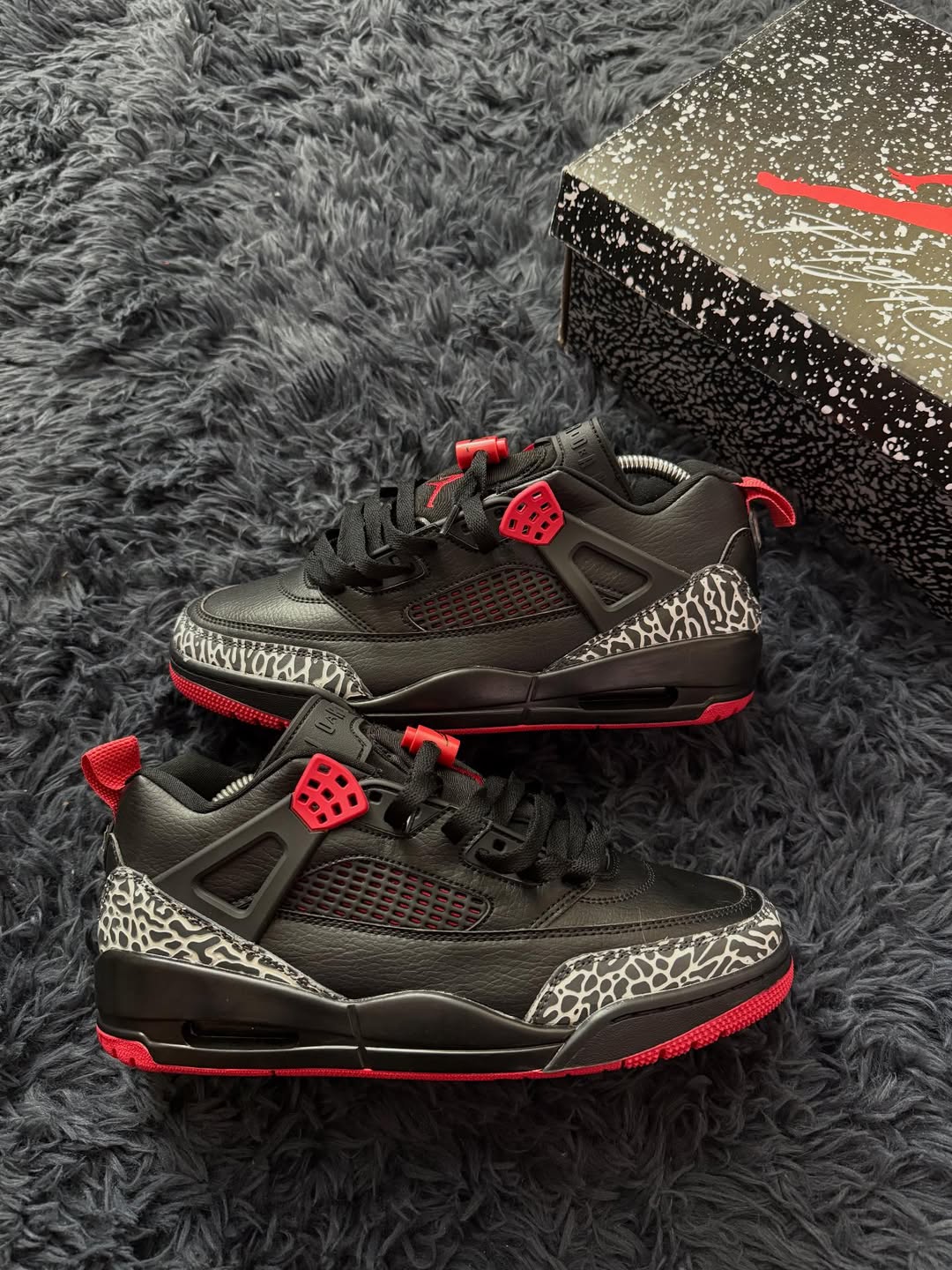Spizike Bred