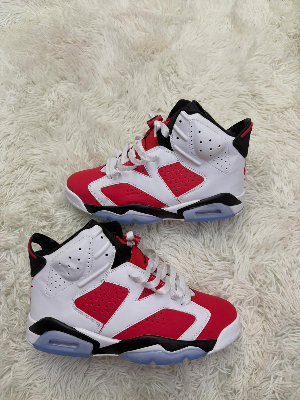 R6 CARMINE