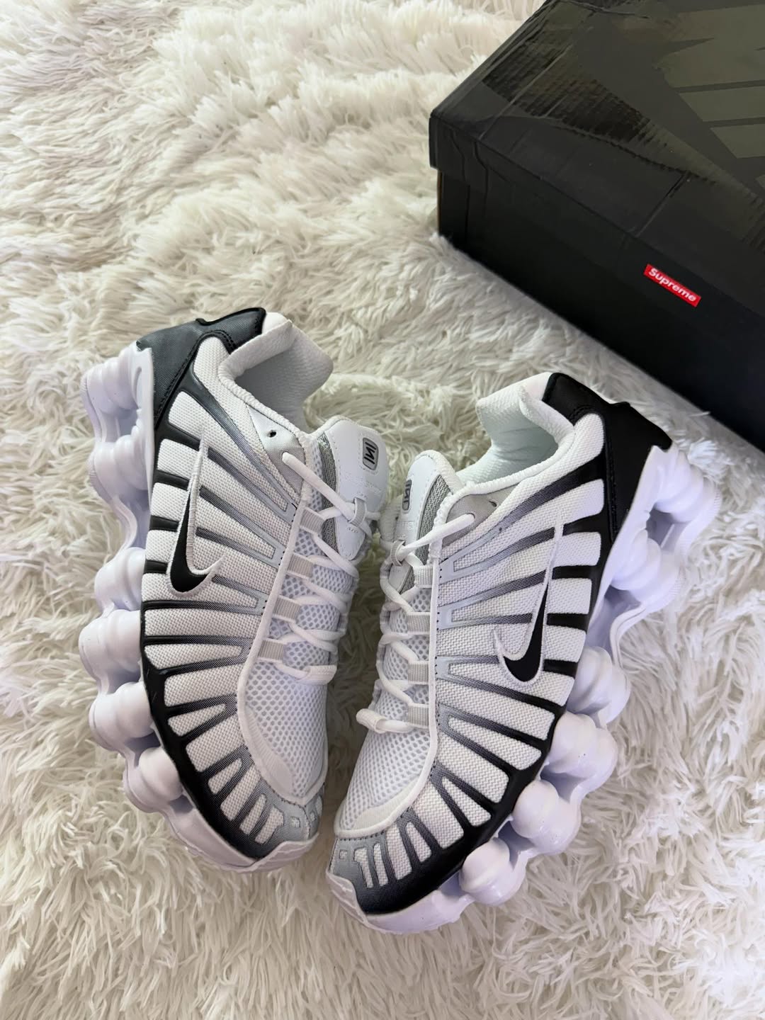 SHOX PANDA
