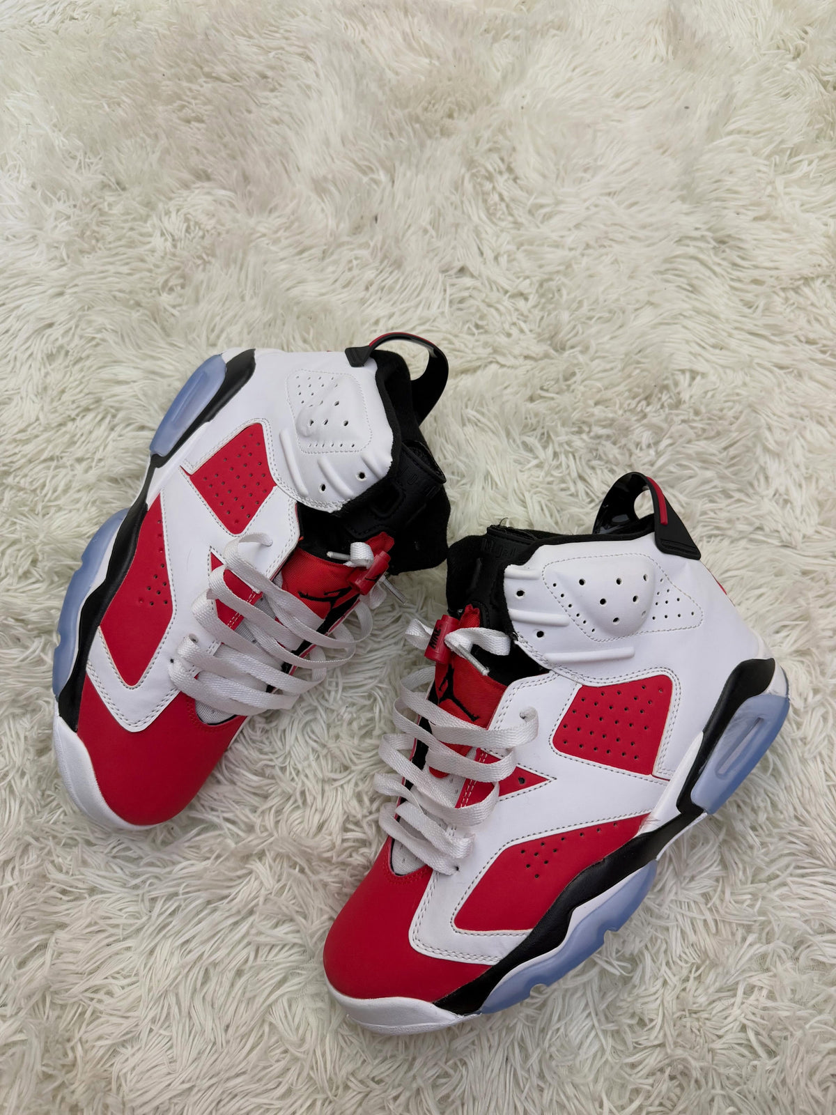 R6 CARMINE