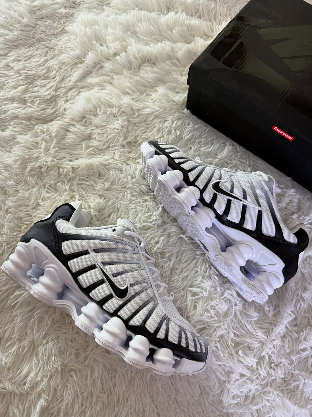 SHOX PANDA