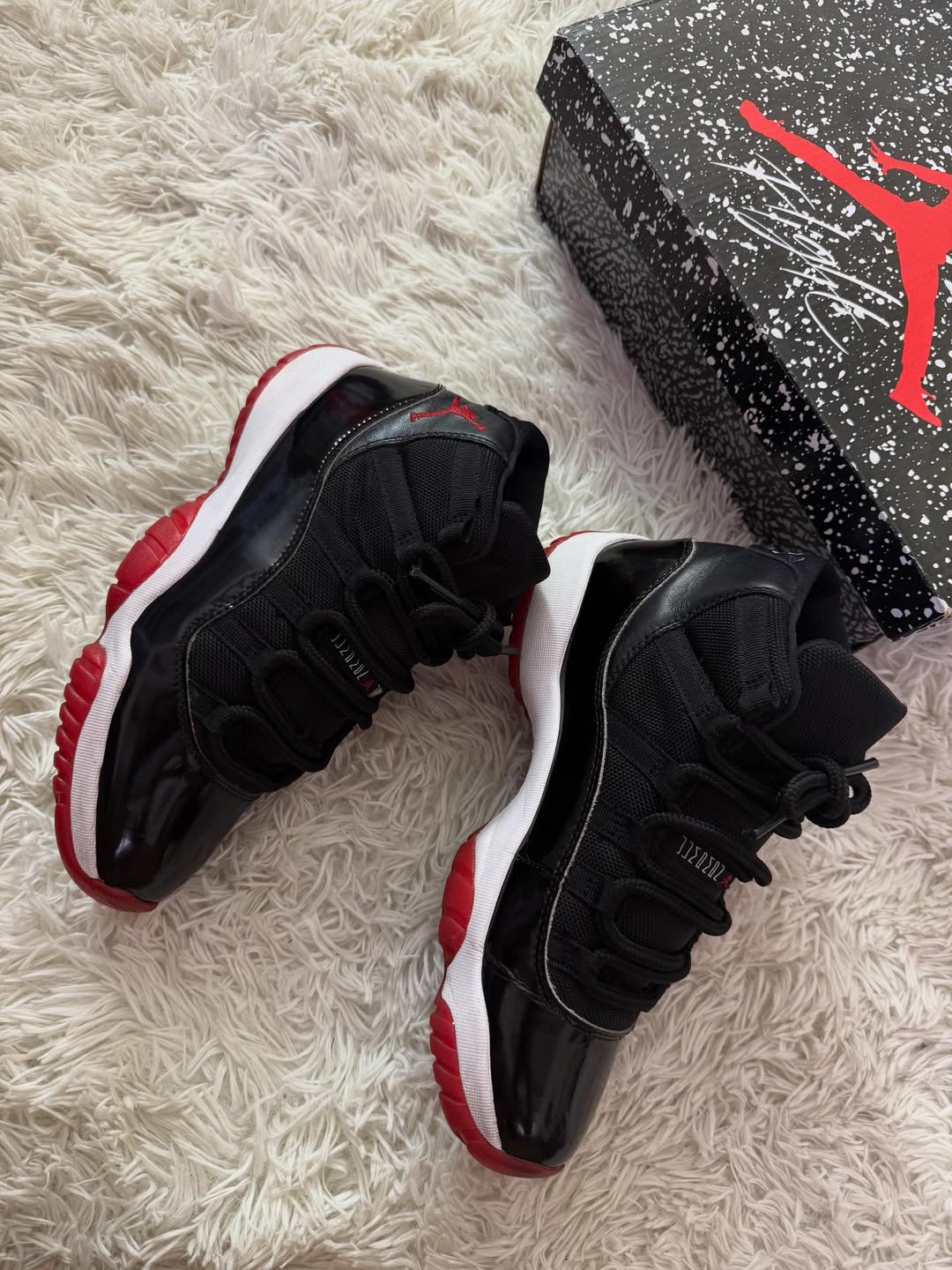 R11 Bred