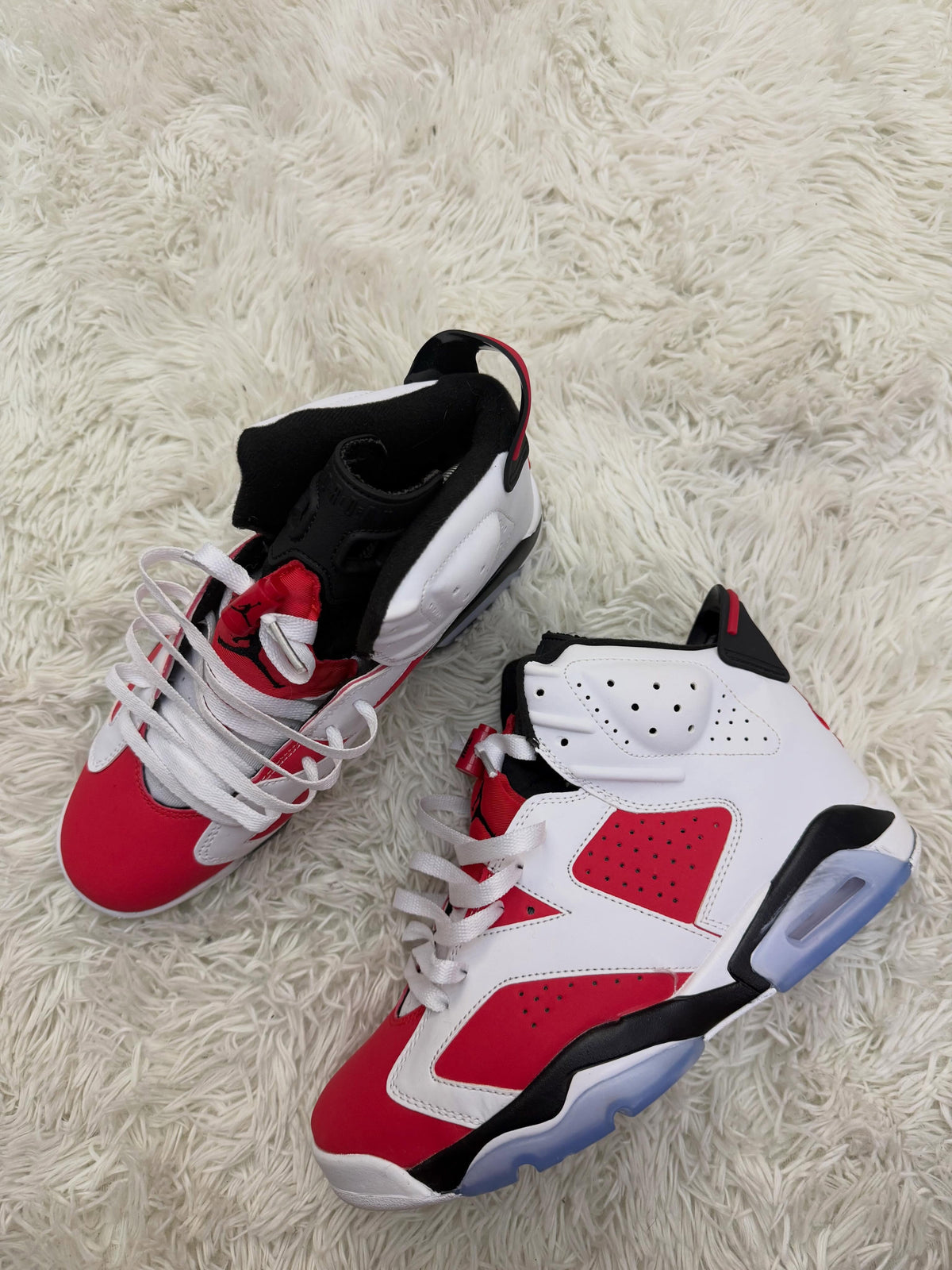 R6 CARMINE