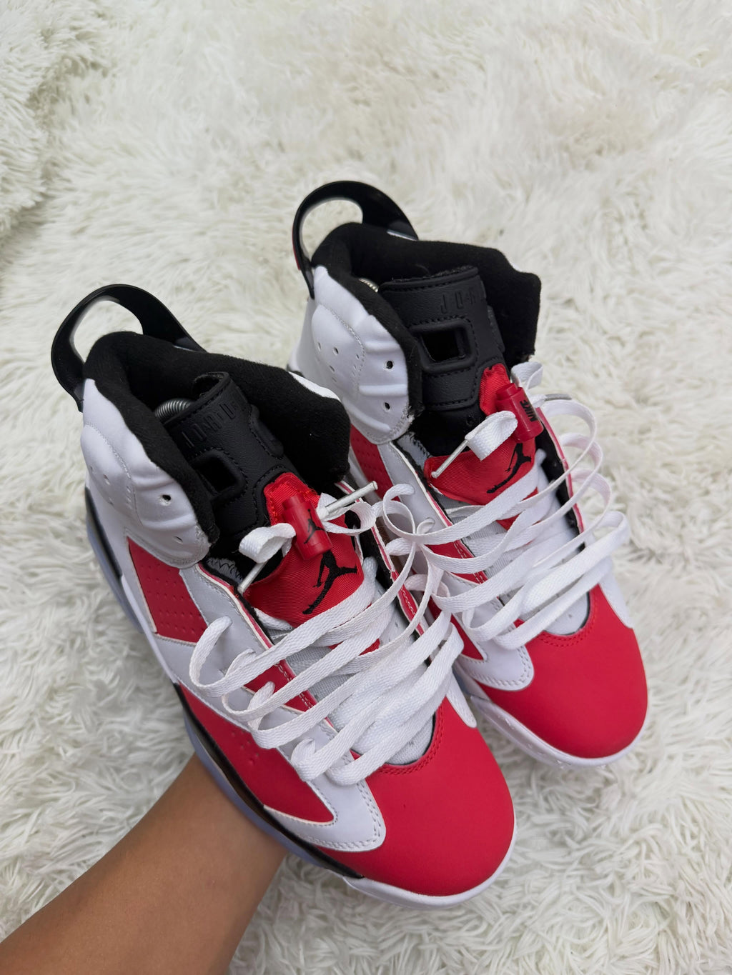 R6 CARMINE