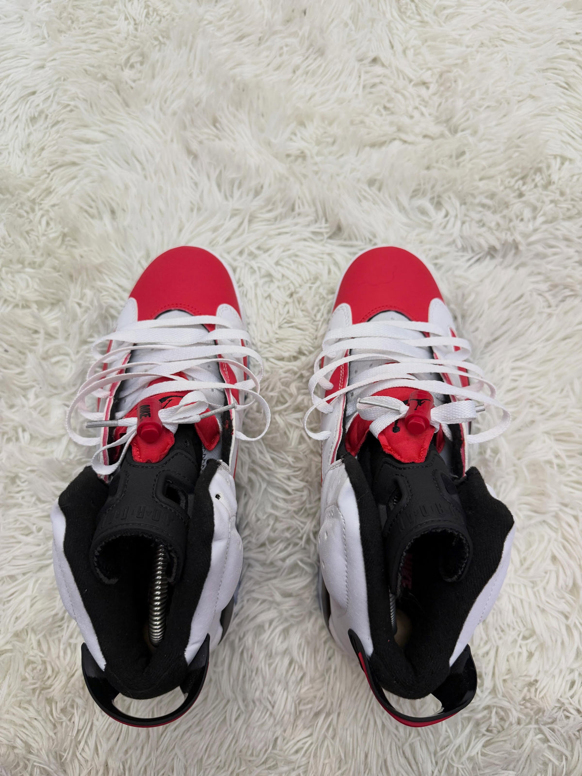 R6 CARMINE