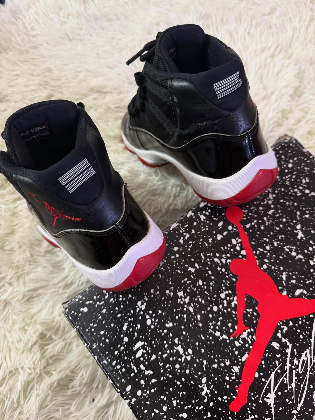 R11 Bred