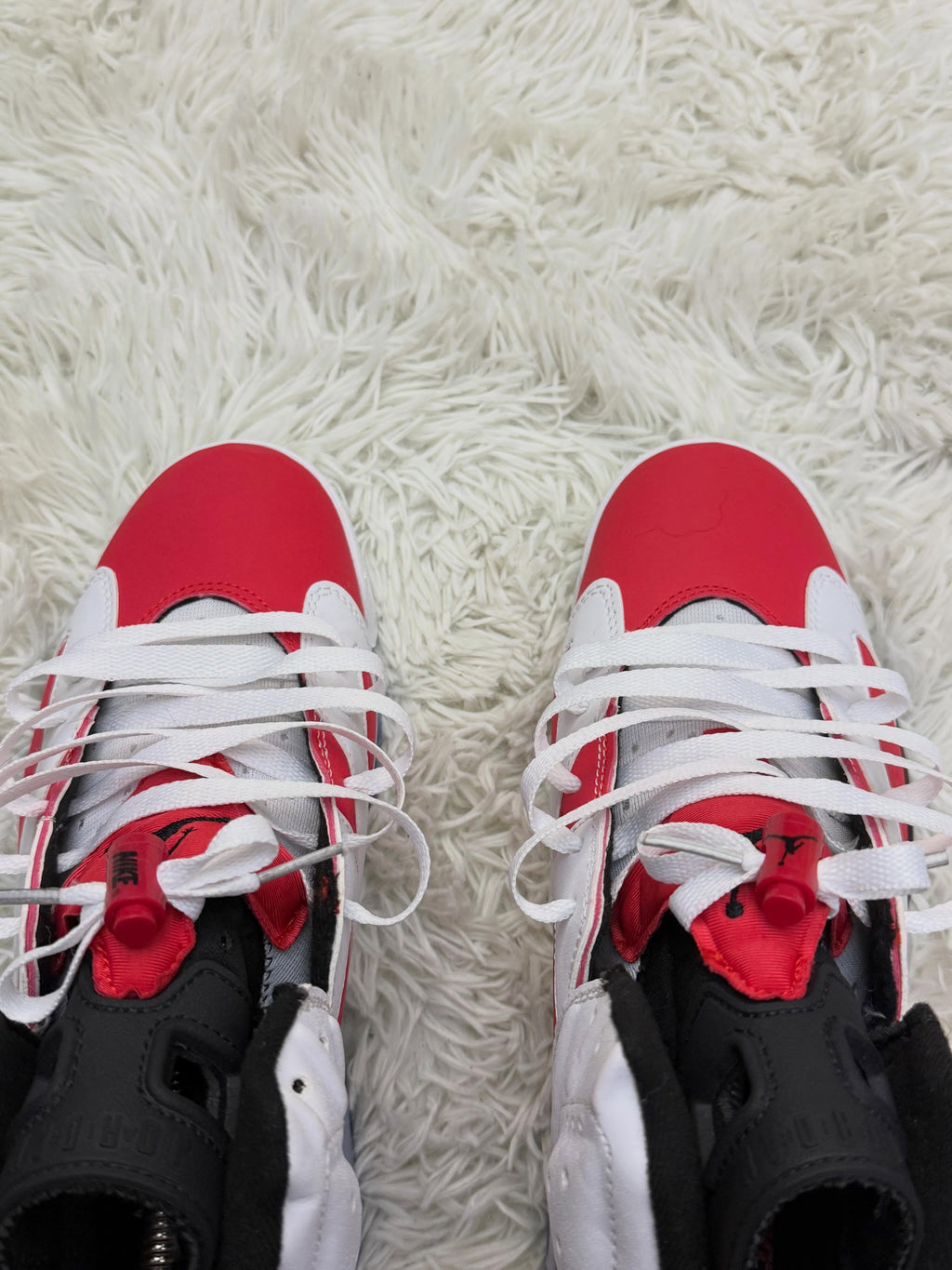 R6 CARMINE