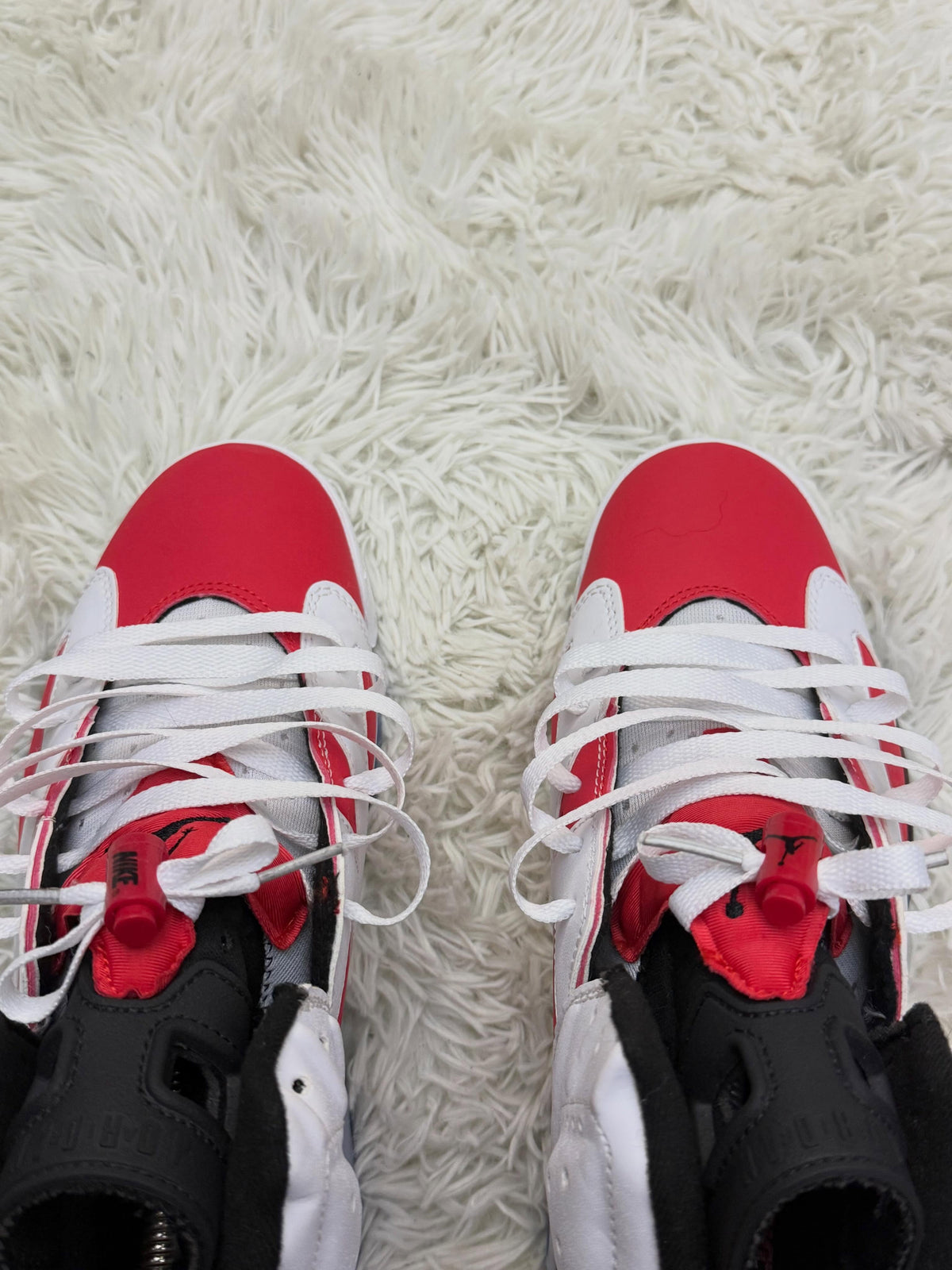 R6 CARMINE