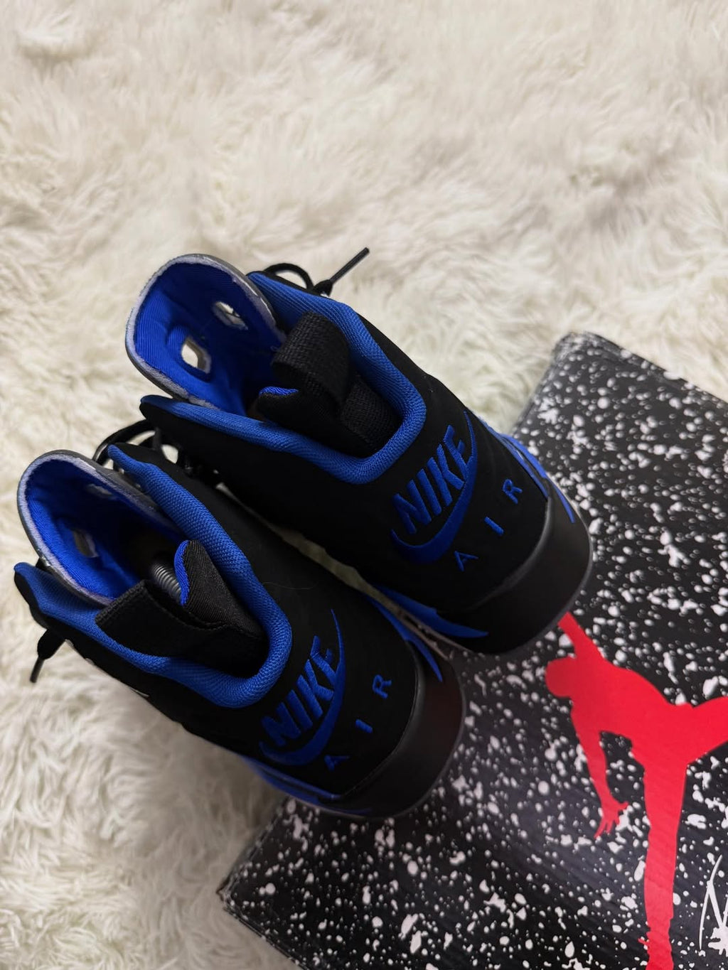 MVP Varsity Blue