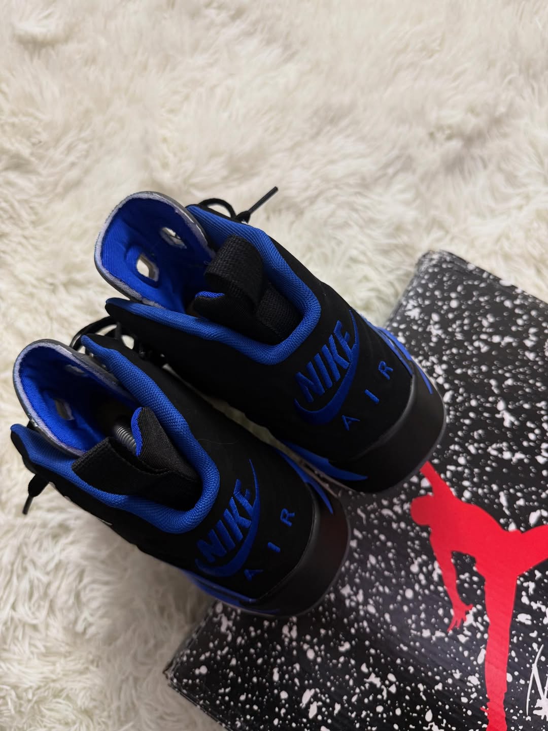MVP Varsity Blue