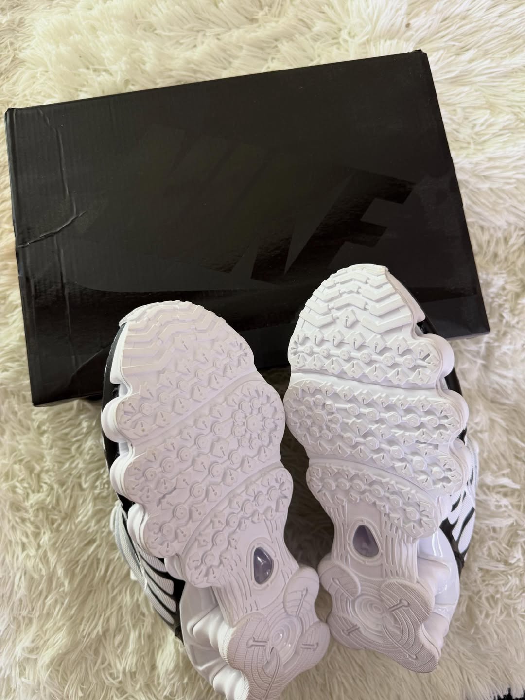 SHOX PANDA